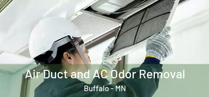  Air Duct and AC Odor Removal Buffalo - MN