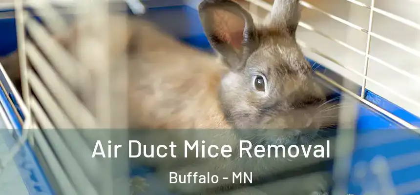  Air Duct Mice Removal Buffalo - MN