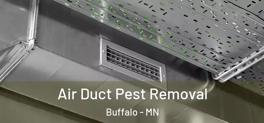 Air Duct Pest Removal Buffalo - MN