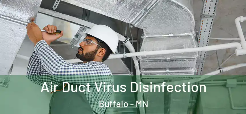  Air Duct Virus Disinfection Buffalo - MN