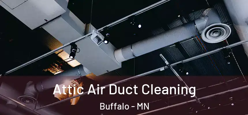  Attic Air Duct Cleaning Buffalo - MN