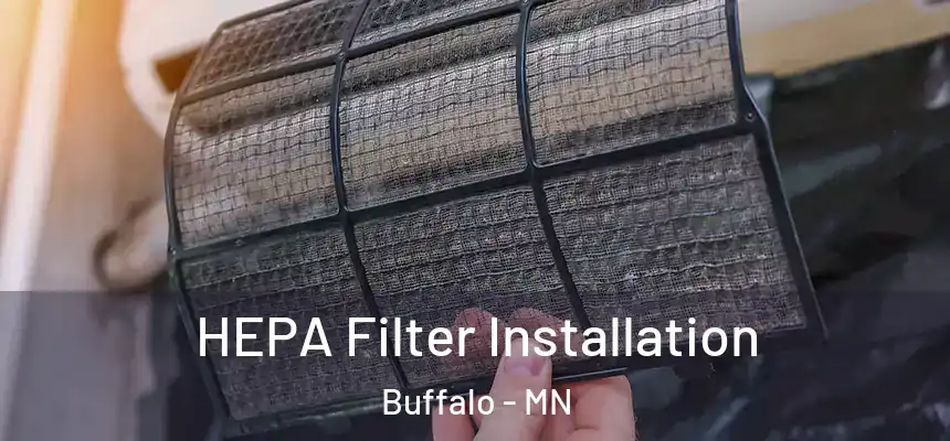  HEPA Filter Installation Buffalo - MN