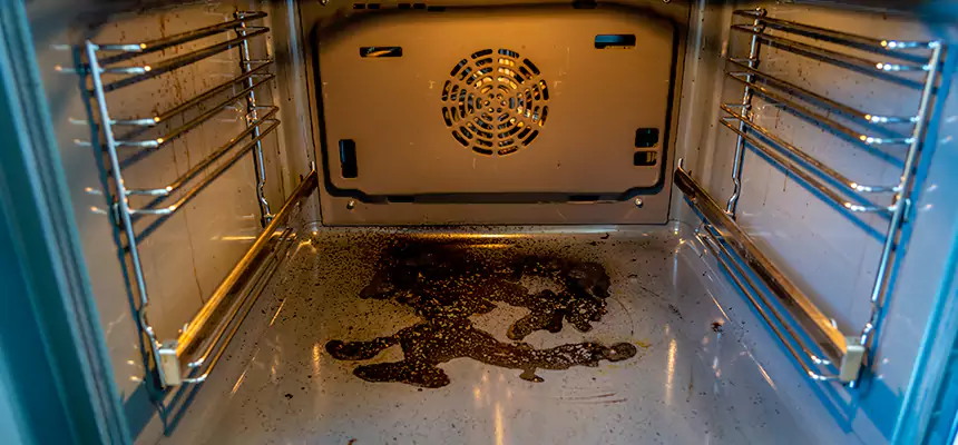 Our Dryer Vent Mold Cleaning Services in Buffalo, MN