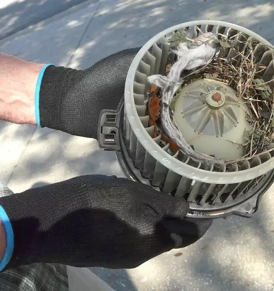 About Air Duct Mice Removal in Buffalo, MN