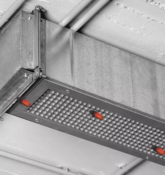 Affordable Insect Removal from Air Ducts in Buffalo, MN