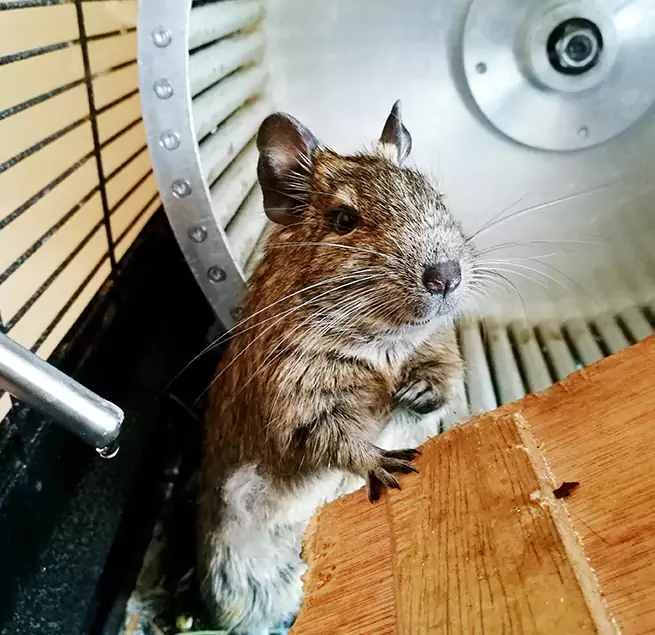 Why Homeowners & Businesses Trust Us Buffalo, MN?